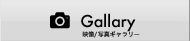 Gallary